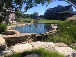 type 5 natural swimming pool